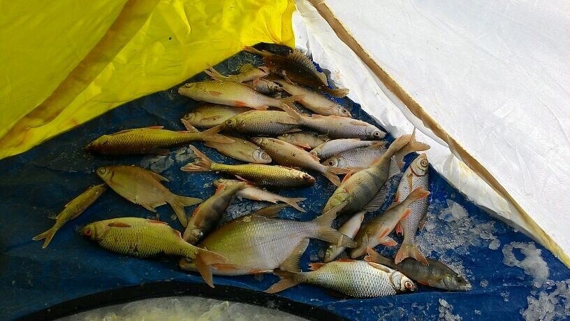 фото из своего архива