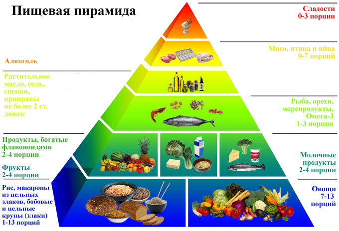 Пирамида питания.