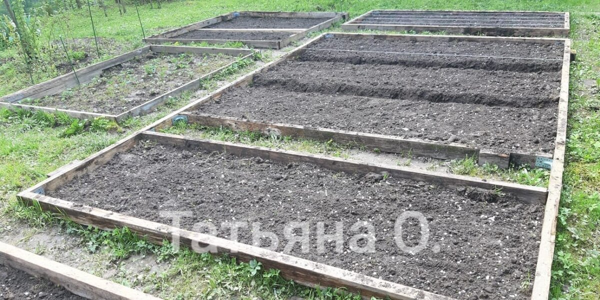 Мои грядки)