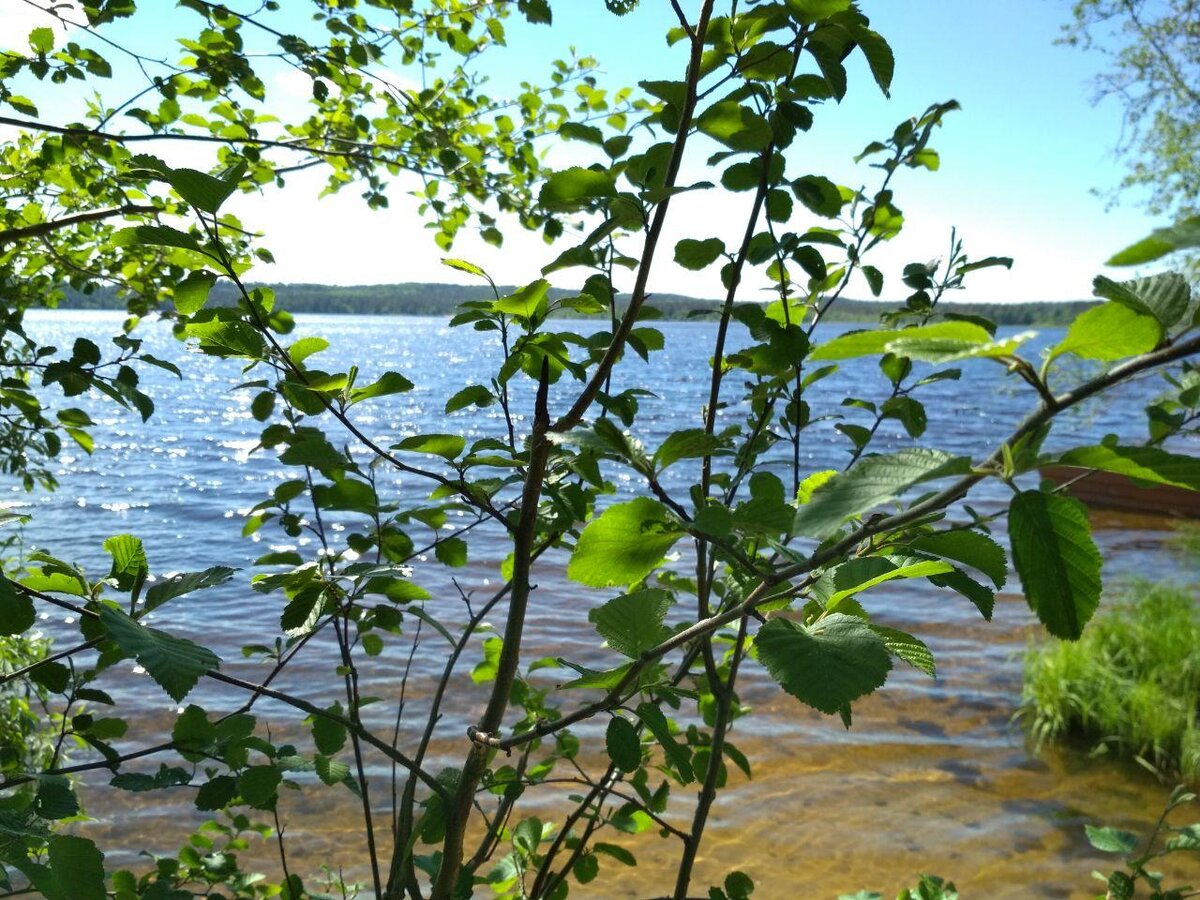 В  глубине Тёплых Бугров сплетается она из сотен ручьёв-родников в тугую  косу — вьётся-скачет по перекатам, поёт звонко: голосом девичьим с миром  беседует.