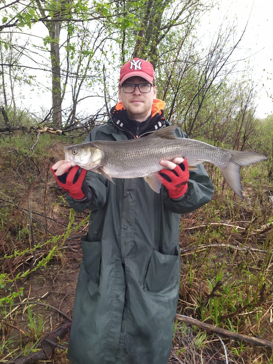 Серебренный воин)