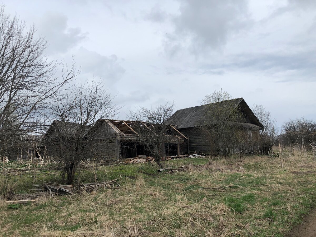 Выпилены стены и крыша у сарая