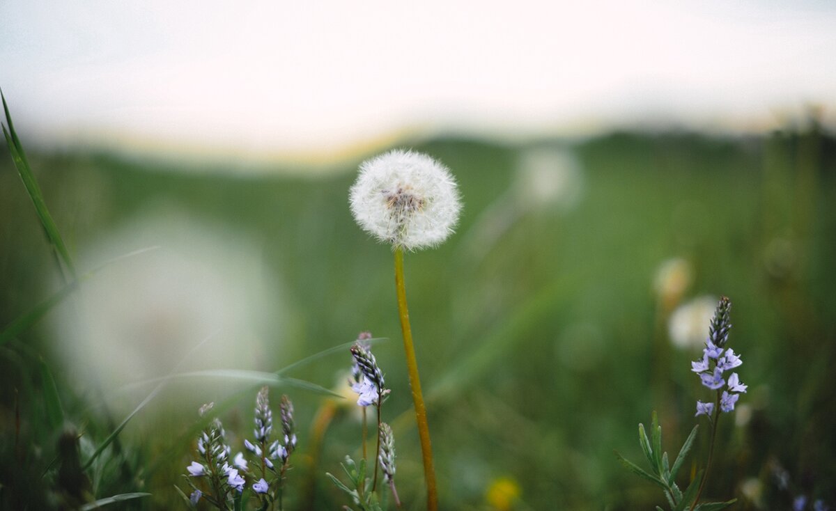 оз.Акманай май