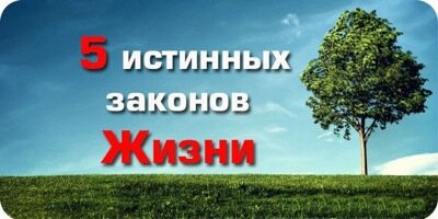 1. Никогда сам не навязывайся людям, и тогда точно поймешь, нужен ты им или нет. 

2. Прошли те времена, когда стоит верить словам. Верь поступкам и отношению, но не словам. В наше время они мало чего стоят. 

3. Всегда цени тех, кто тобой сильно дорожит и не нужно держать тех, кому ты на самом деле не нужен. 

4. Никогда не верь отговоркам. Мы подсознательно всегда знаем, почему человек помог либо не помог нам. Верить в ложь всегда хочется, но жить станет проще, если смотреть на вещи реально, без «розовых очков». 

5. Говорят, люди несчастны не из-за случившихся событий или ситуаций, а из-за отношения к ним. По себе людей не суди. Часто они не способны сделать для тебя то, на что готов ты ради них, и из-за этого они не являются плохими. 