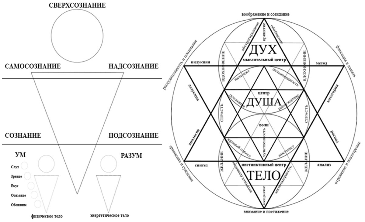 Схема работы энерго-информационной структуры человека