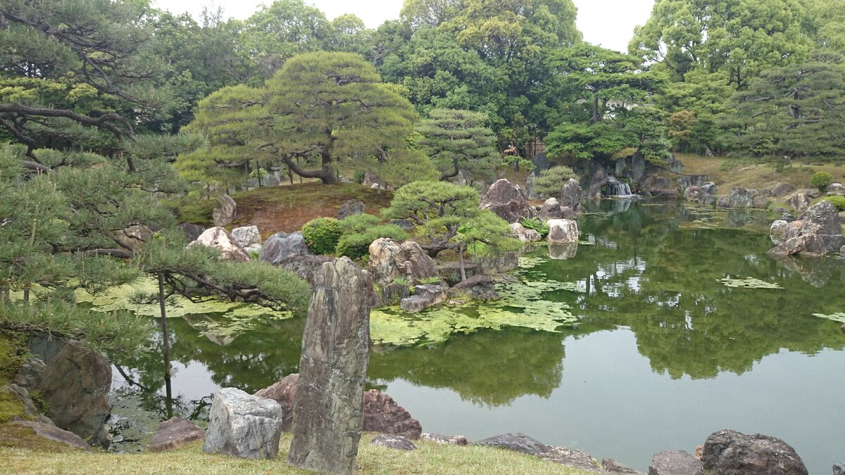 Замок Нидзё - не только образец аутентичной архитектуры, но и чудесные сады (фото автора) 