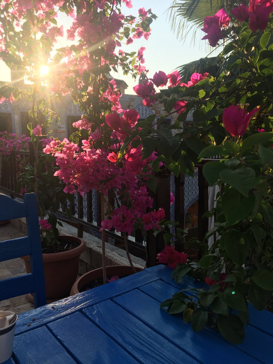 Турция, Анталия (Фото автора).