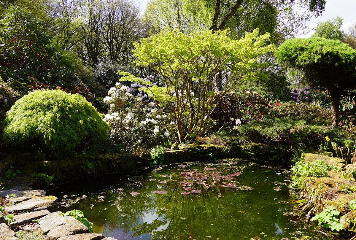 Водоем в саду. Фото из Интернета.