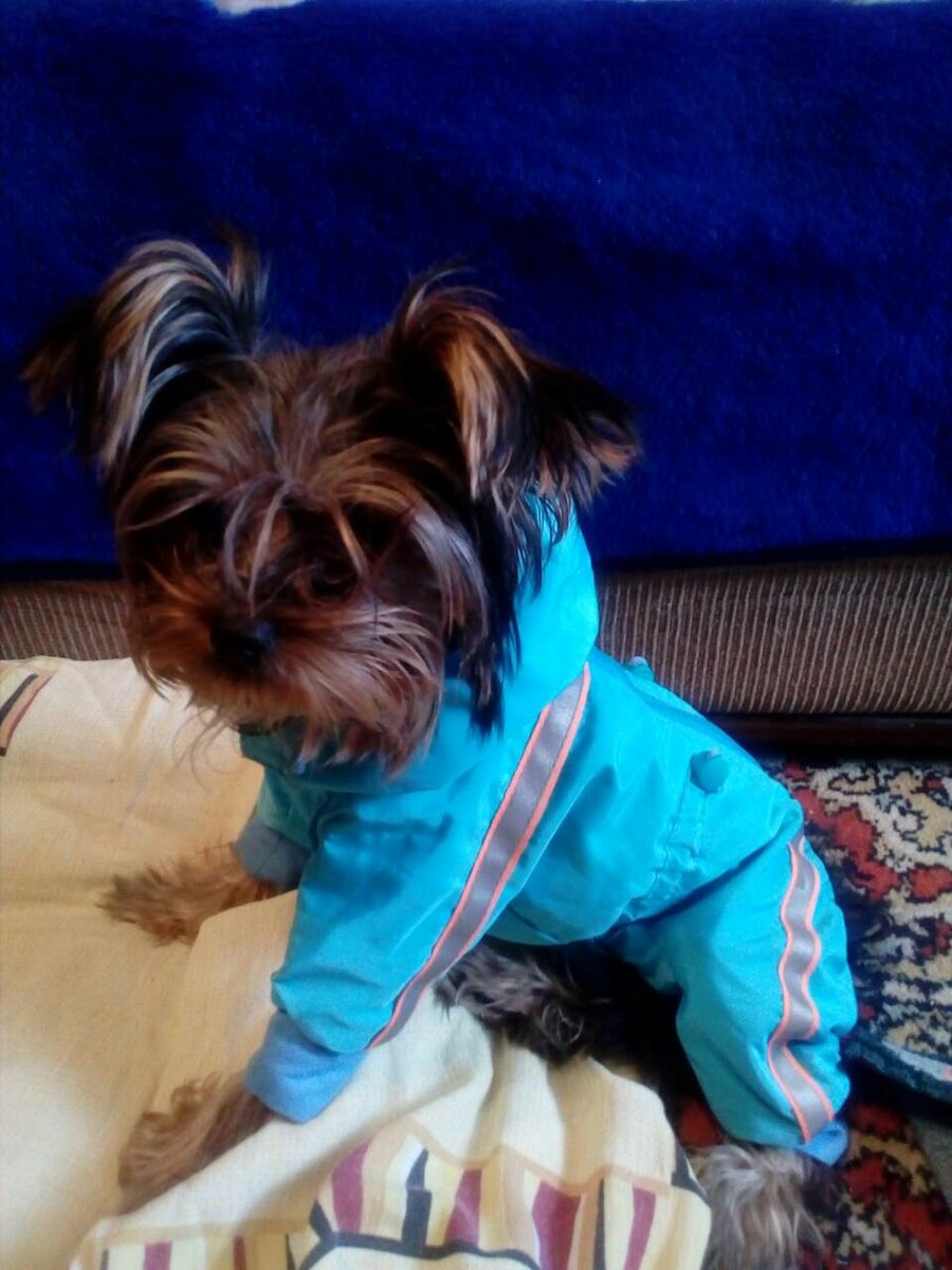 Бусинка. Живет в нашем городе с мамой Анастасией.