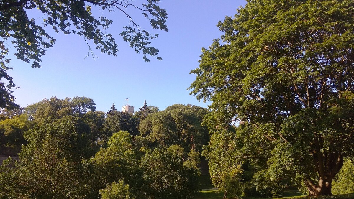 Парковая зона возле стен Старого города. Вам уже известная башня Длинный Герман.