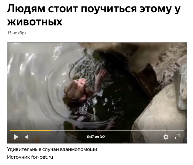 Видео с ЯндексДзена.