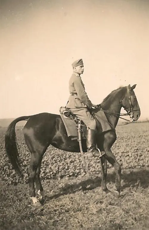 Армейский унтер-офицер на своей красивой черной кобыле с саблей, прикрепленной к седлу наперевес.