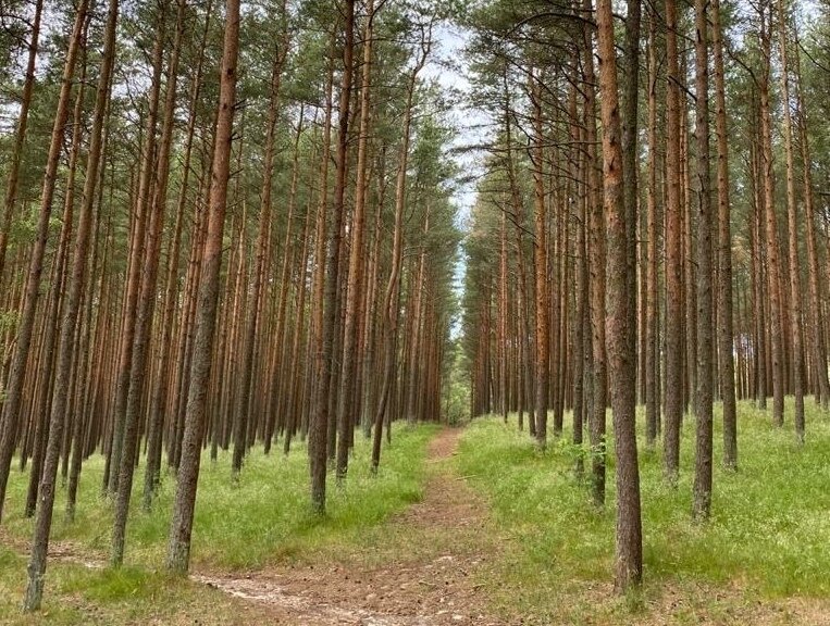 Наша красота для разбавления полезной информации :)