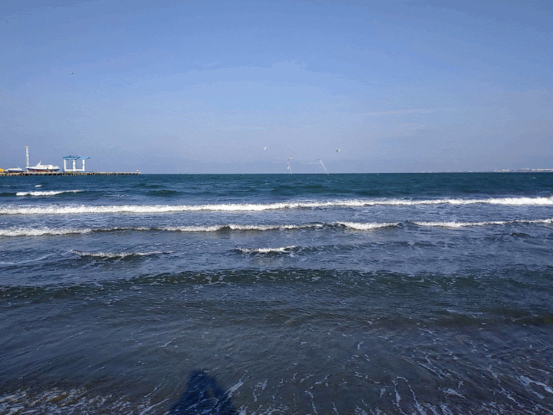 Побережье Черного моря в Анапе