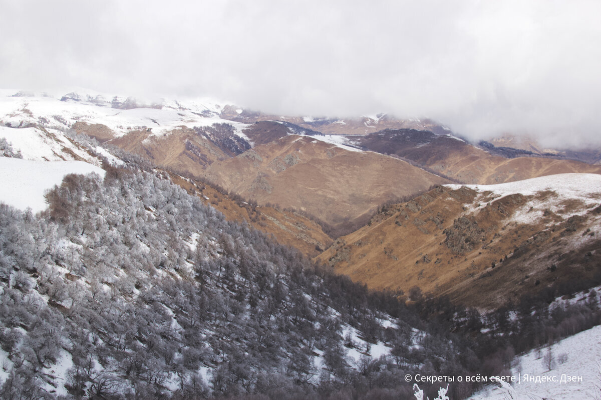 Добавьте описание