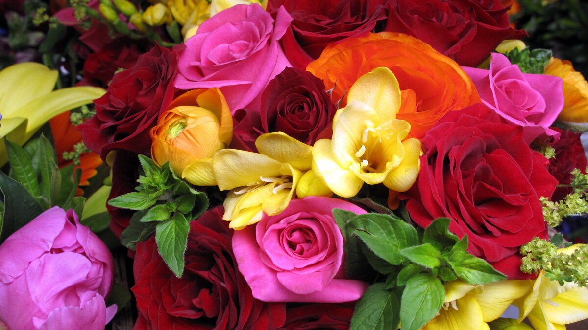 картинка из открытых источников Яндекс