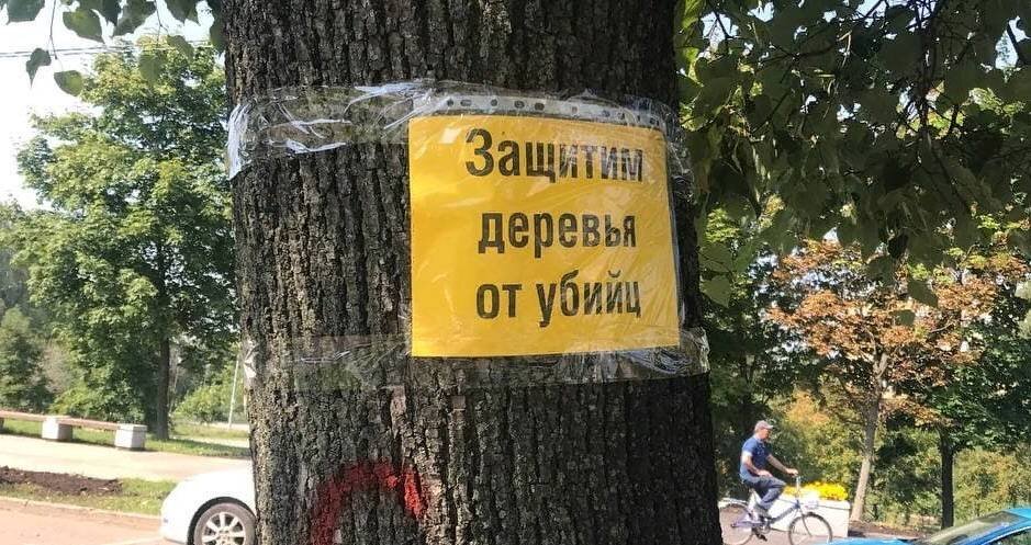 На ул. Дмитрия Ульянова. Фото: Вера Кочина
