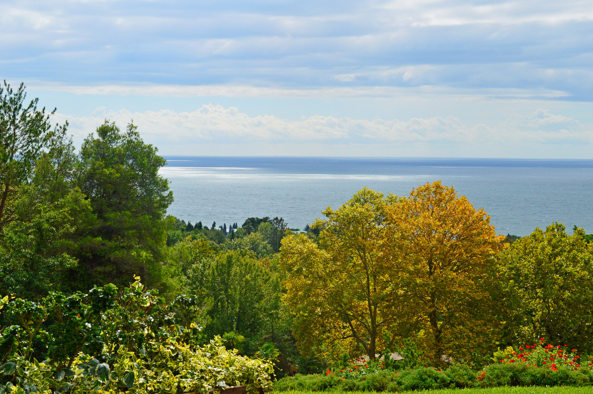Вид со смотровой площадки