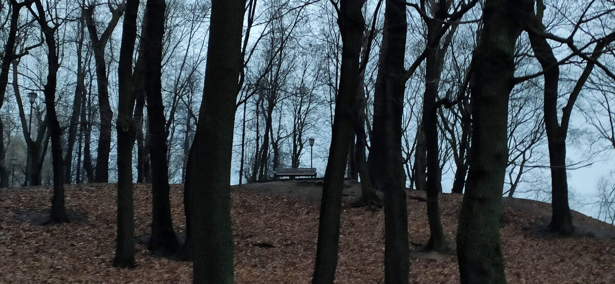 Несколько фотографий парка от - _.racut._.