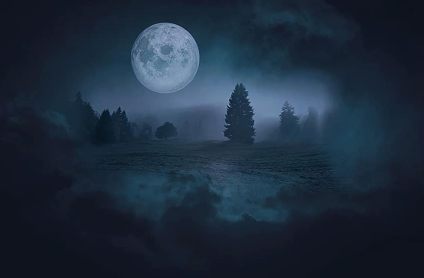 Фото из интернета