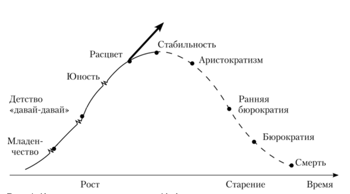 Рис 1. Кривая жизненного цикла И. Адизеса.