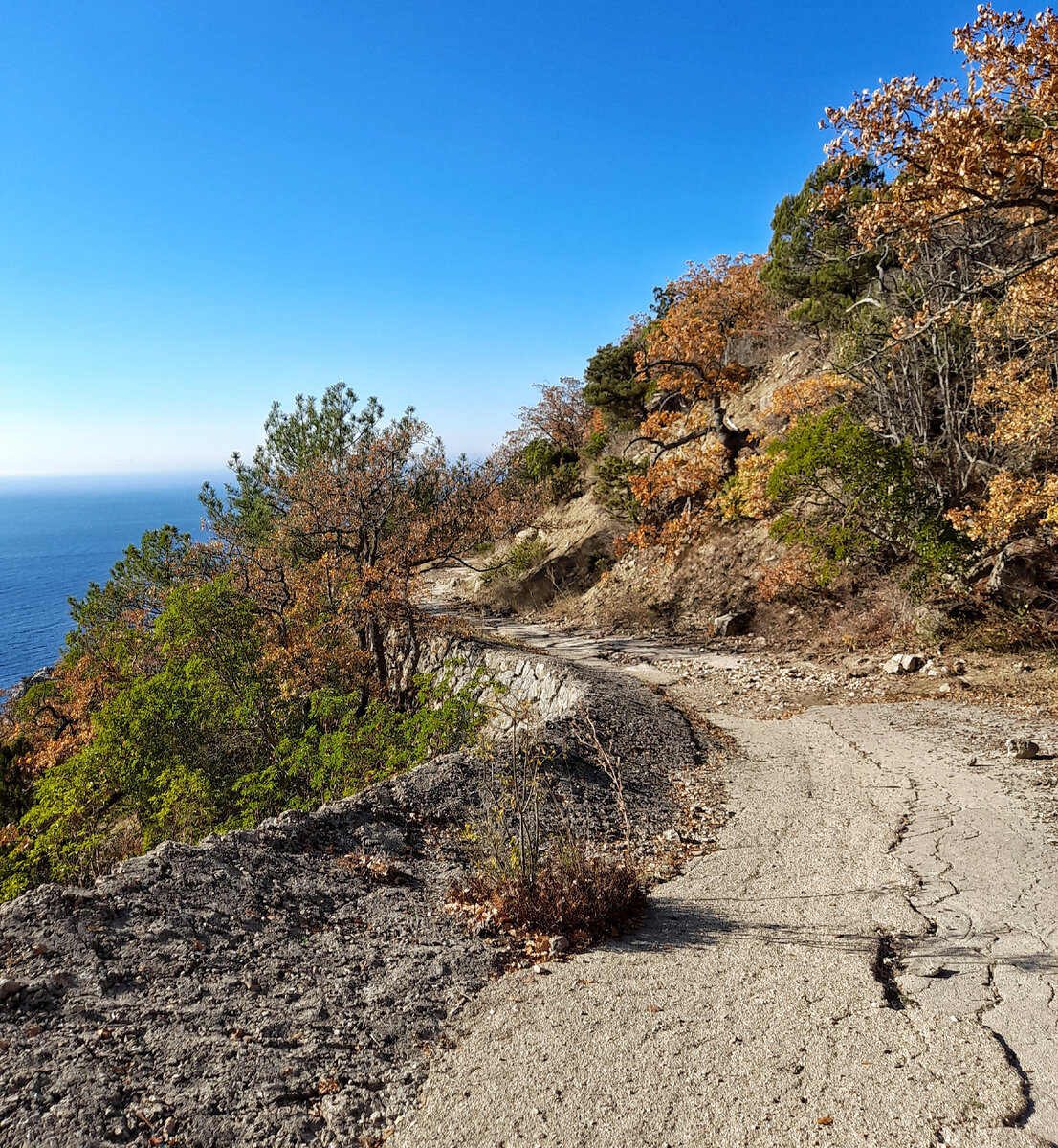 Южный берег Крыма 