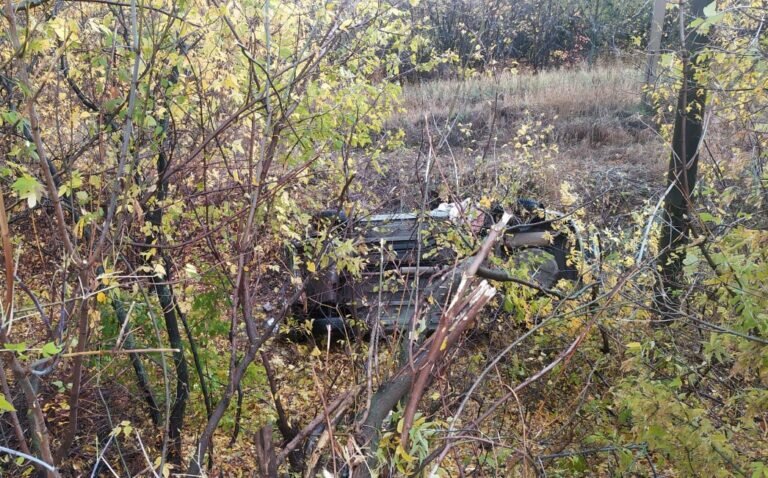    В Переволоцком 46-летний водитель «Лады Калины» слетел в кювет и получил травмы Кристина Просвиркина