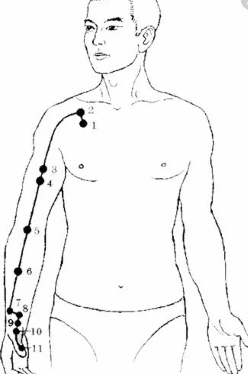 Простукивание тела человека китайская медицина. Меридиан легких точки акупунктуры. Меридиан легких в китайской медицине. Меридиан легких в китайской медицине точки акупунктуры. Точка р1 Чжун фу.