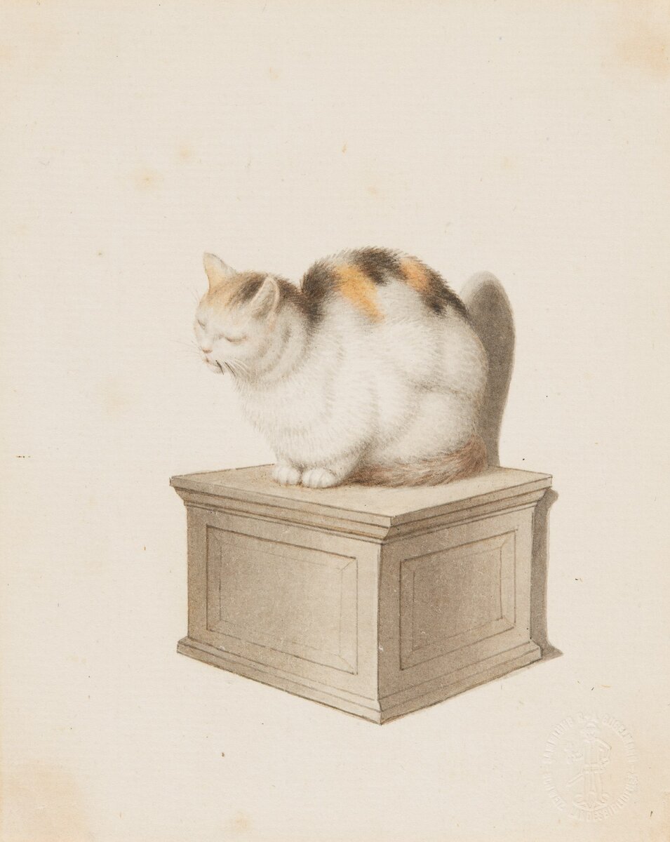 Gottfried Mind. Schlafende Katze auf einem Sockel sitzend, nach links gerichtet. Swiss National Library, Prints and Drawings Department