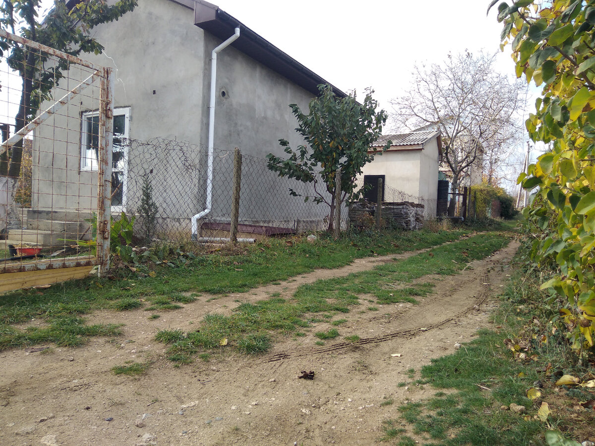 Описываемая клумба - за молодой черешней.