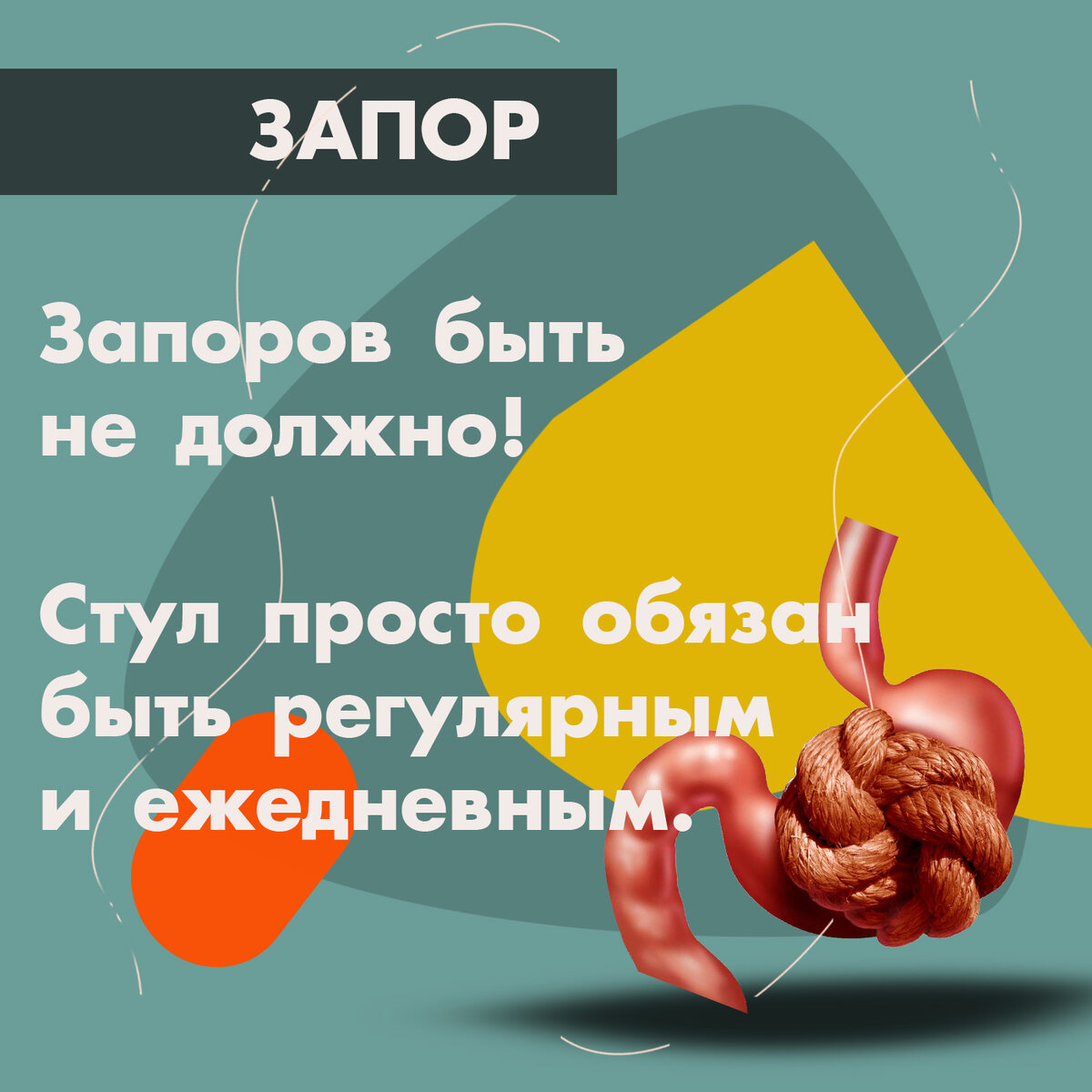 Запоров быть не должно. Стул просто обязан быть регулярным и ежедневным.