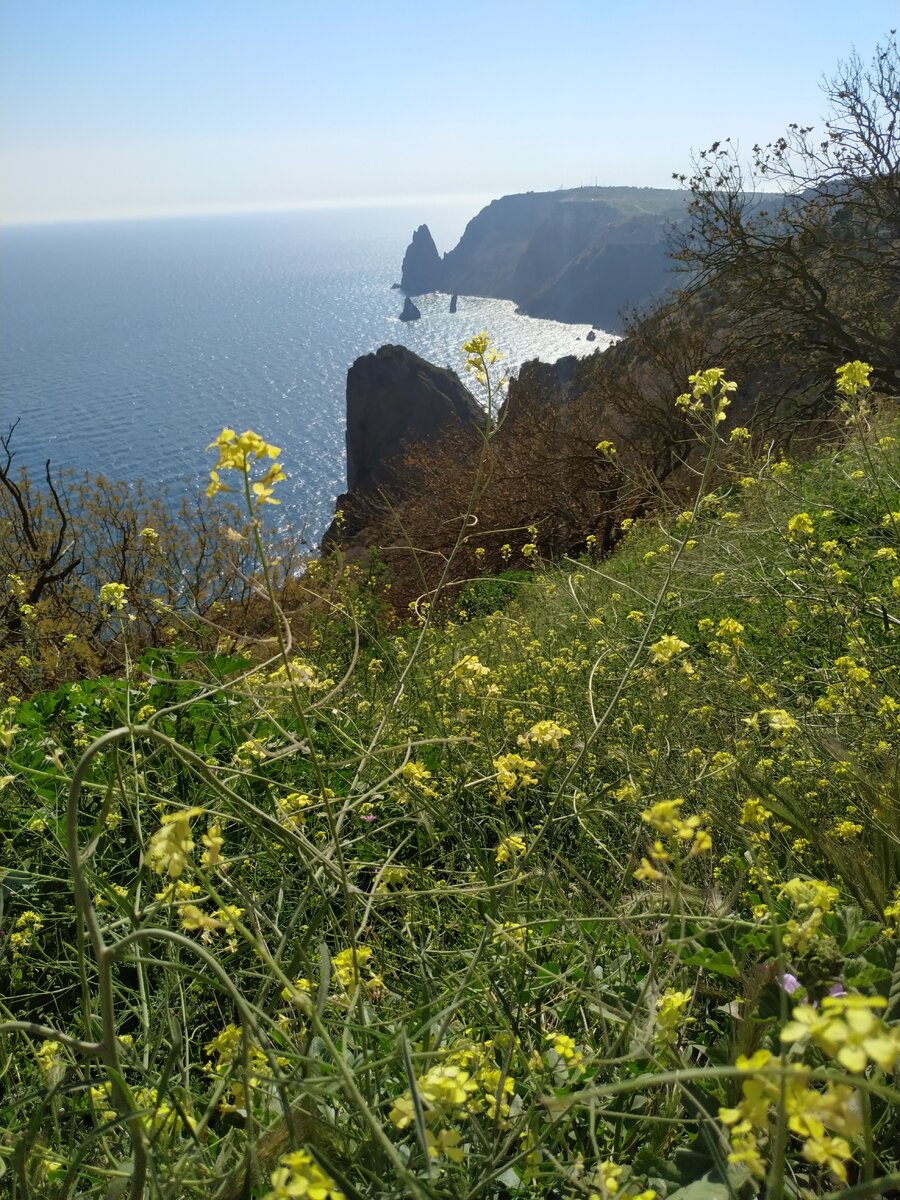 Мыс Фиолент