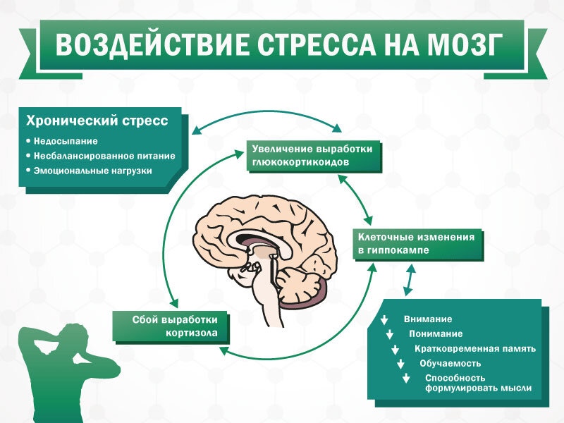 Плохая память, растерянность, забывчивость - что делать?