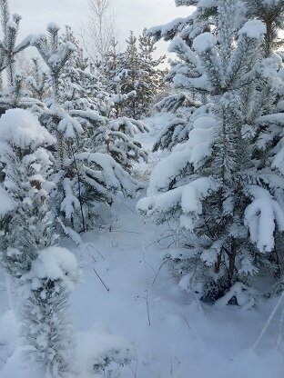 Фотография из личного архива автора