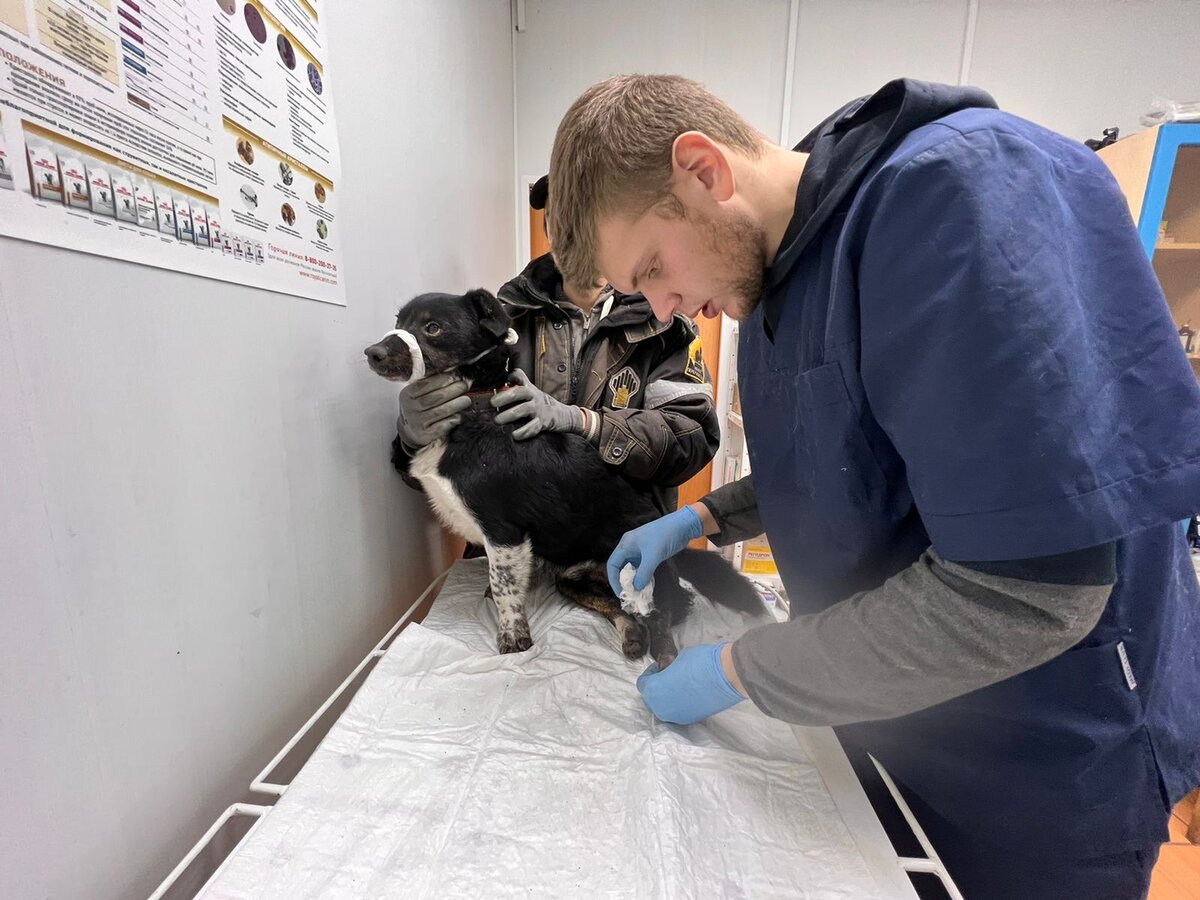 Только что привезли малыша