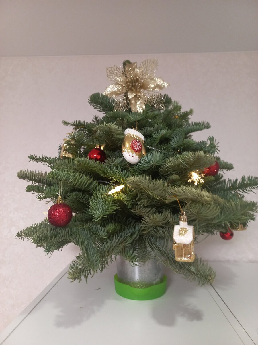 Наша ёлочка, которую убрали повыше от Ханьки. Фотография автора