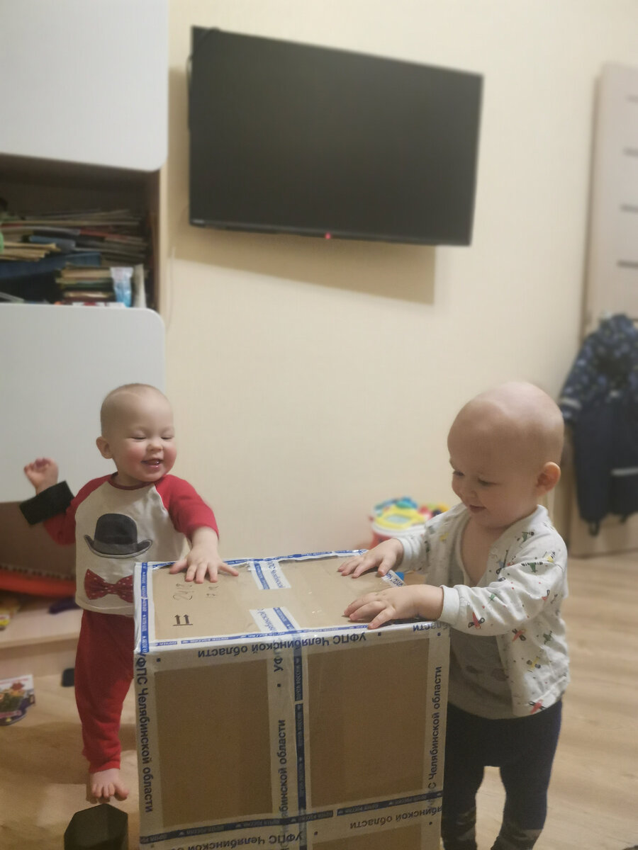 Двойняшки облепили посылку