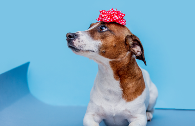    Фото: Depositphotos Анастасия Агеева