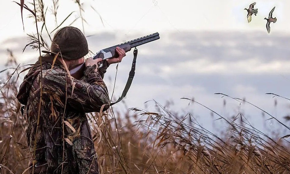    Фото: Курская правда