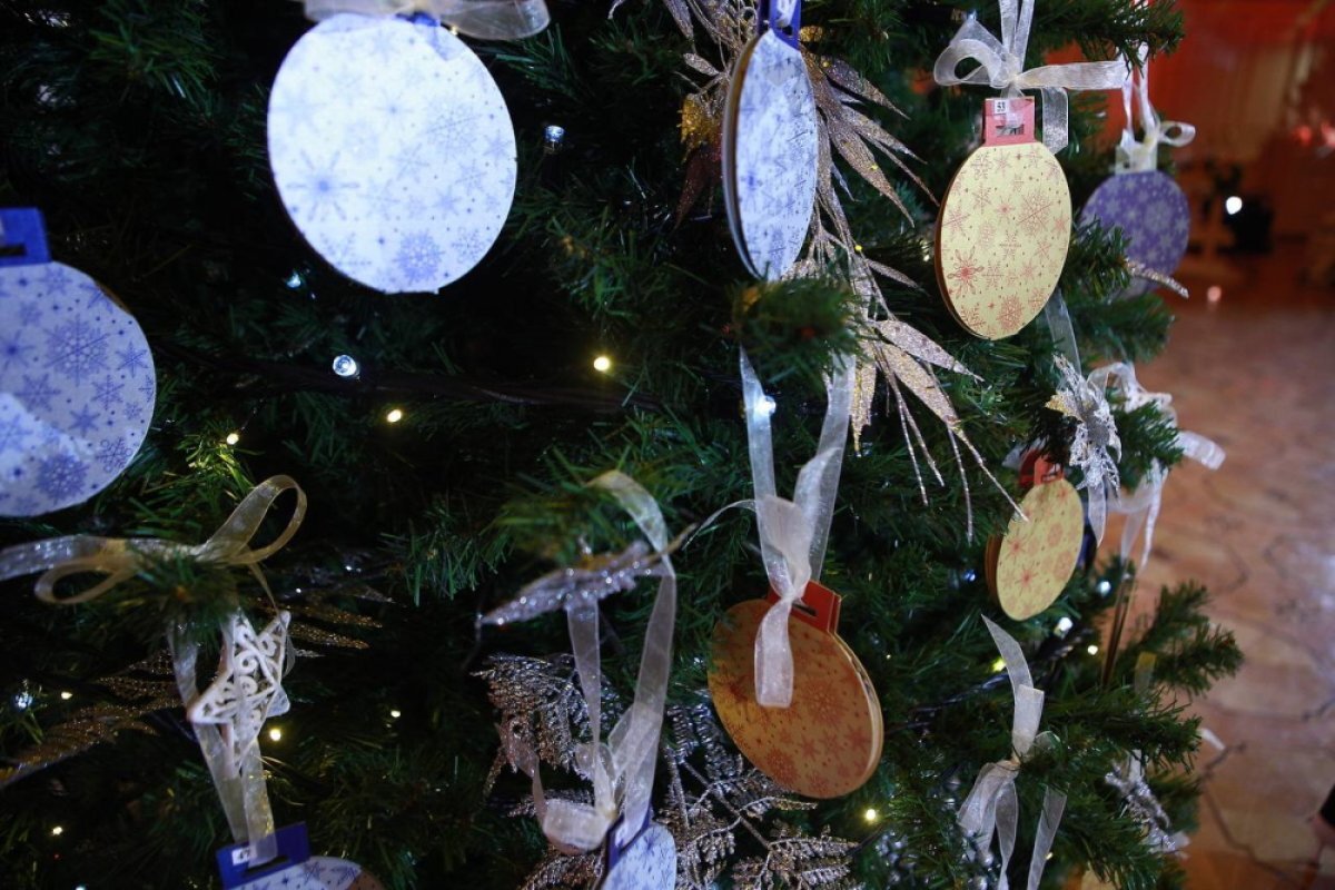    Кравцов и Любимова приняли участие в «Елке желаний»