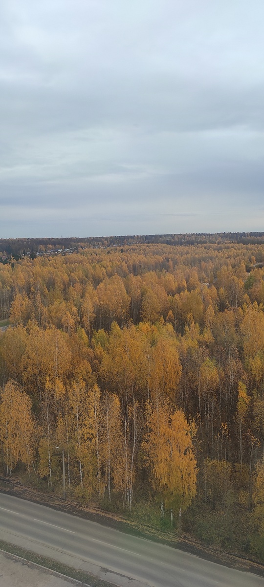 Золотая осень