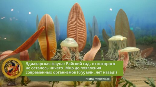 Эдиакарская фауна: Райский сад, от которого не осталось ничего. Мир до появления современных организмов (635 млн лет назад!) | Видео 🎥