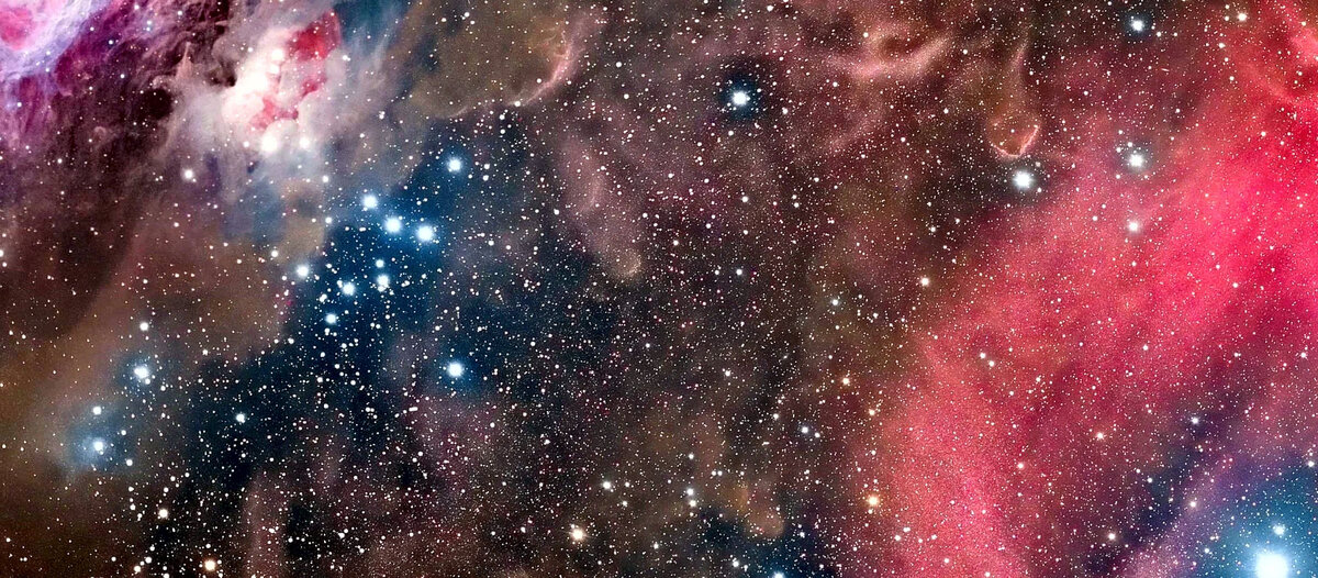 Дева - гороскоп на год (женщина)