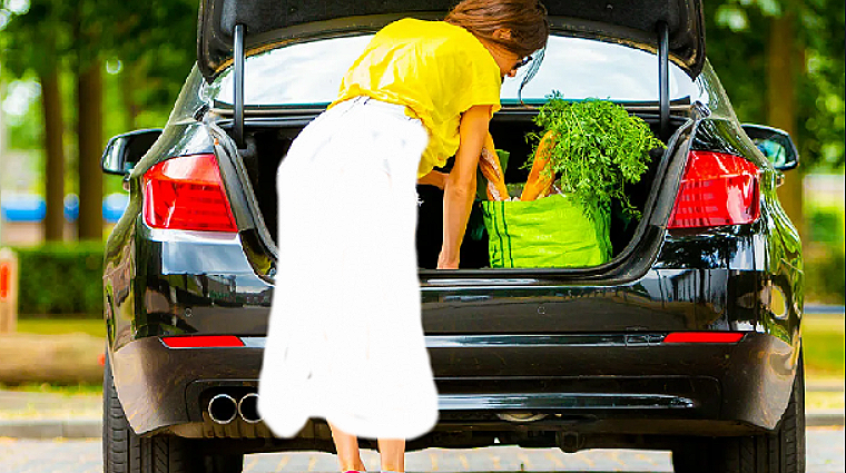 Картинка взята в интернете