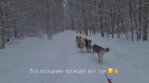 Коротко о наших праздниках 👍🐺😄