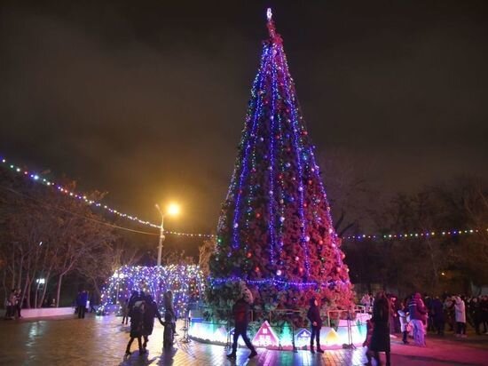     В парке «Аркадия» пройдут новогодние представления / Пресс-служба администрации Астрахани