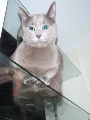 Фото из Интернета. 