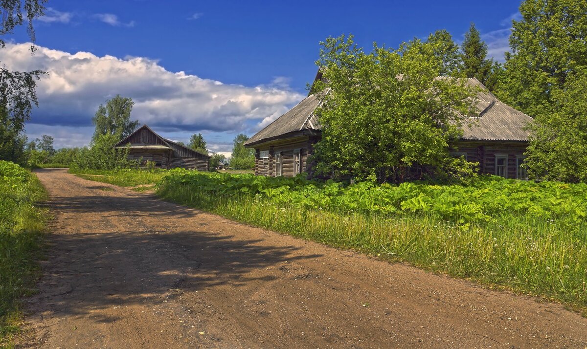 Яндекс.Картинки