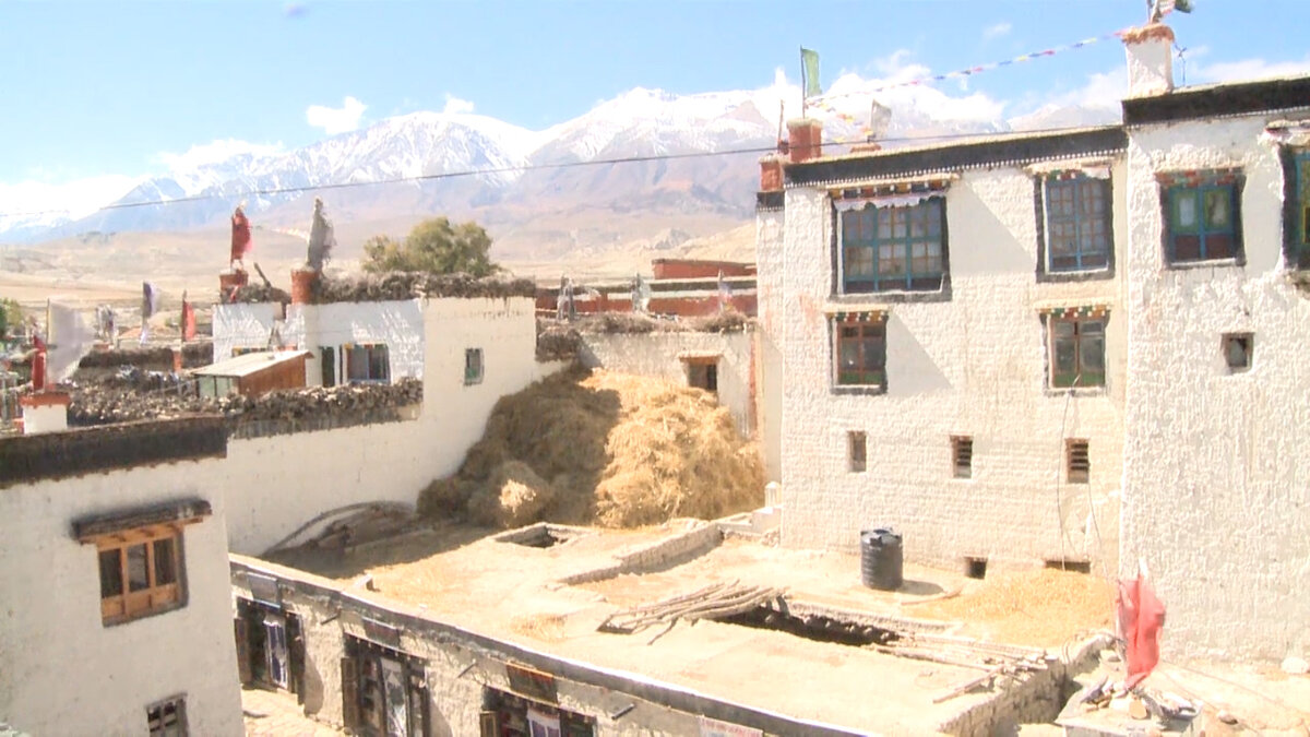 Крыша королевского дворца: король - человек хозяйственный, сена назапасил  