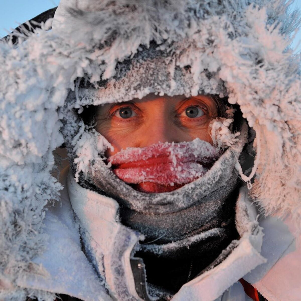 Многие люди считают, что для согрева на морозе нужно выпить крепкого алкоголя, который согревает организм. Так, миф или реальность – алкоголь согревает на морозе. Давайте разбираться вместе.